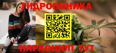 шишки Пенза