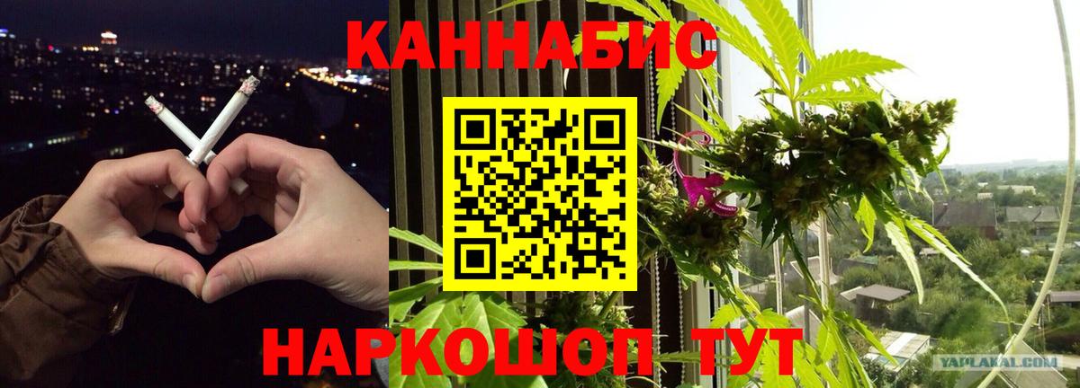 Шишки марихуана ГИДРОПОН  Марихуана планчик  Вход с VPN  Белая Калитва  Конопля марихуана 